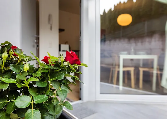 Easy Flat Vezia, Indipendent Entrance, Free Parking